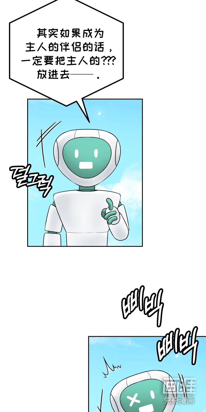 第14章：伴侣