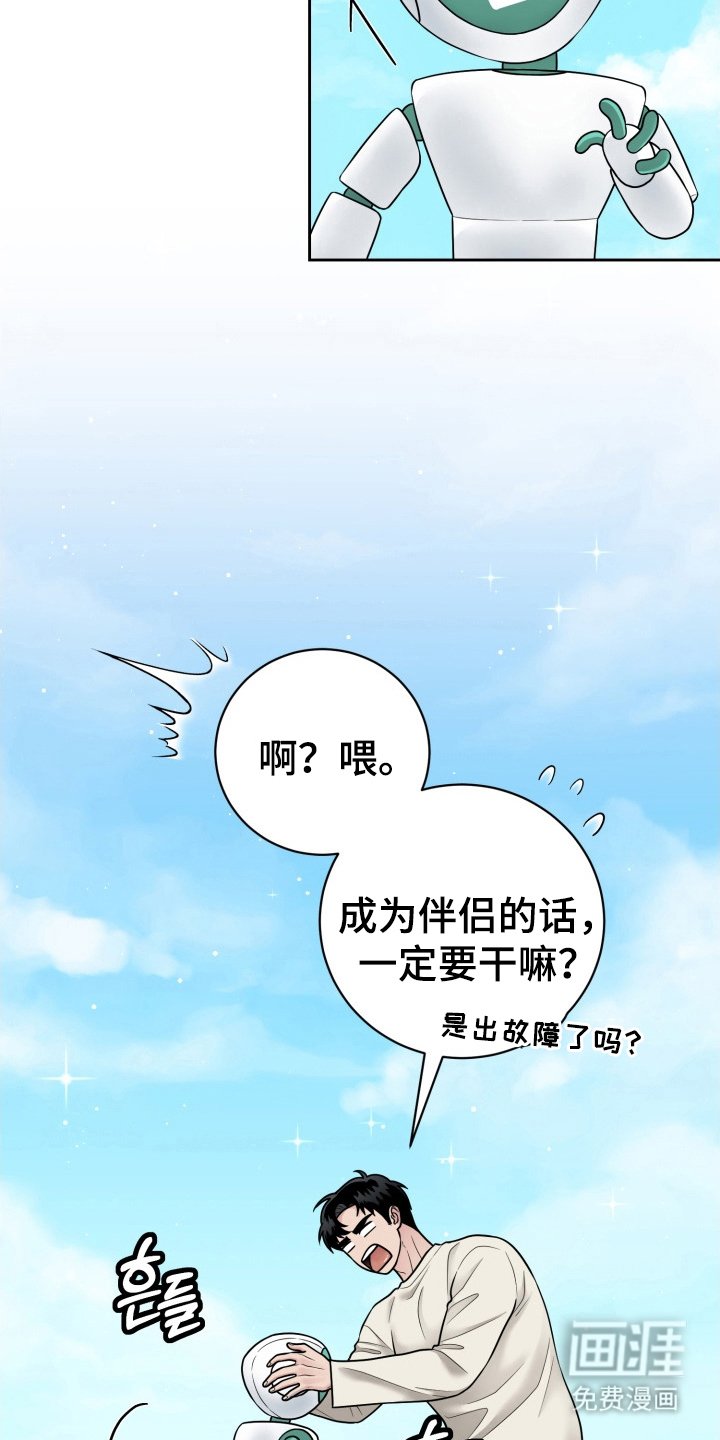 第14章：伴侣