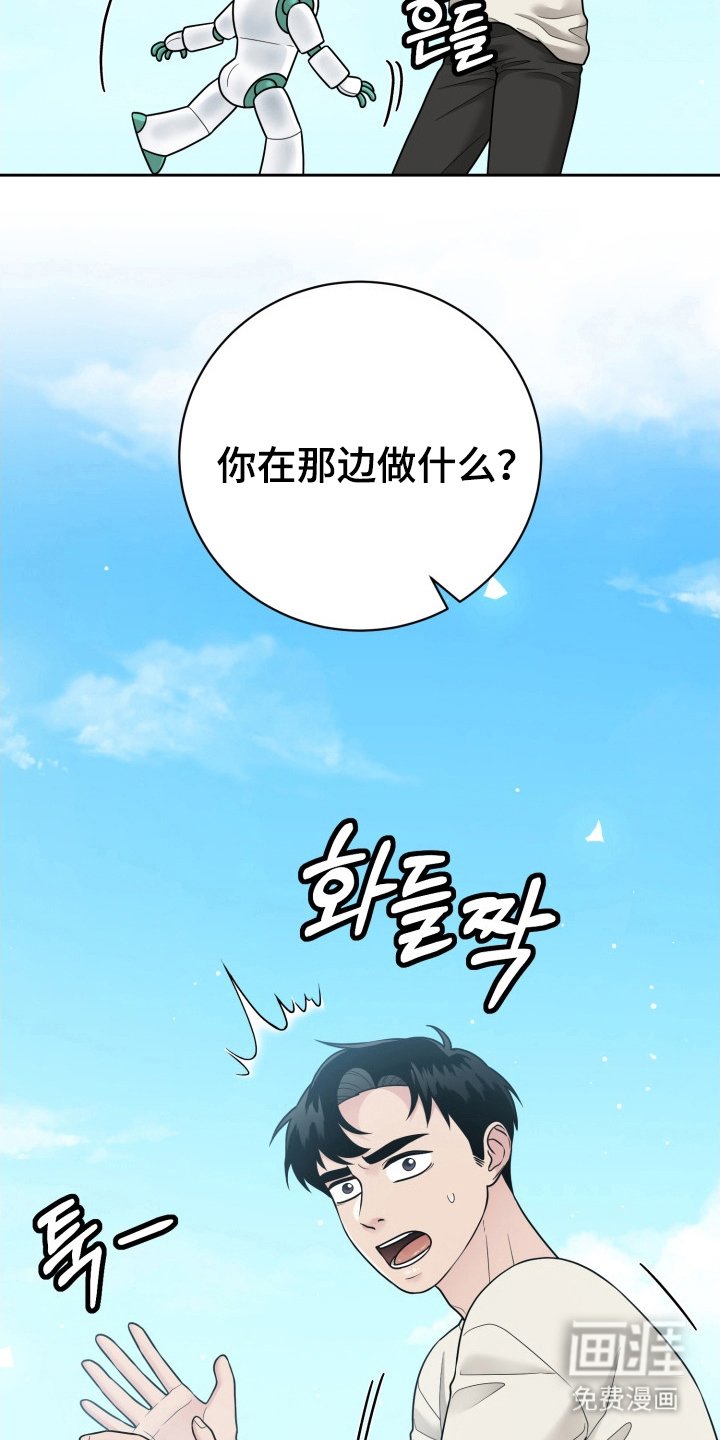第14章：伴侣