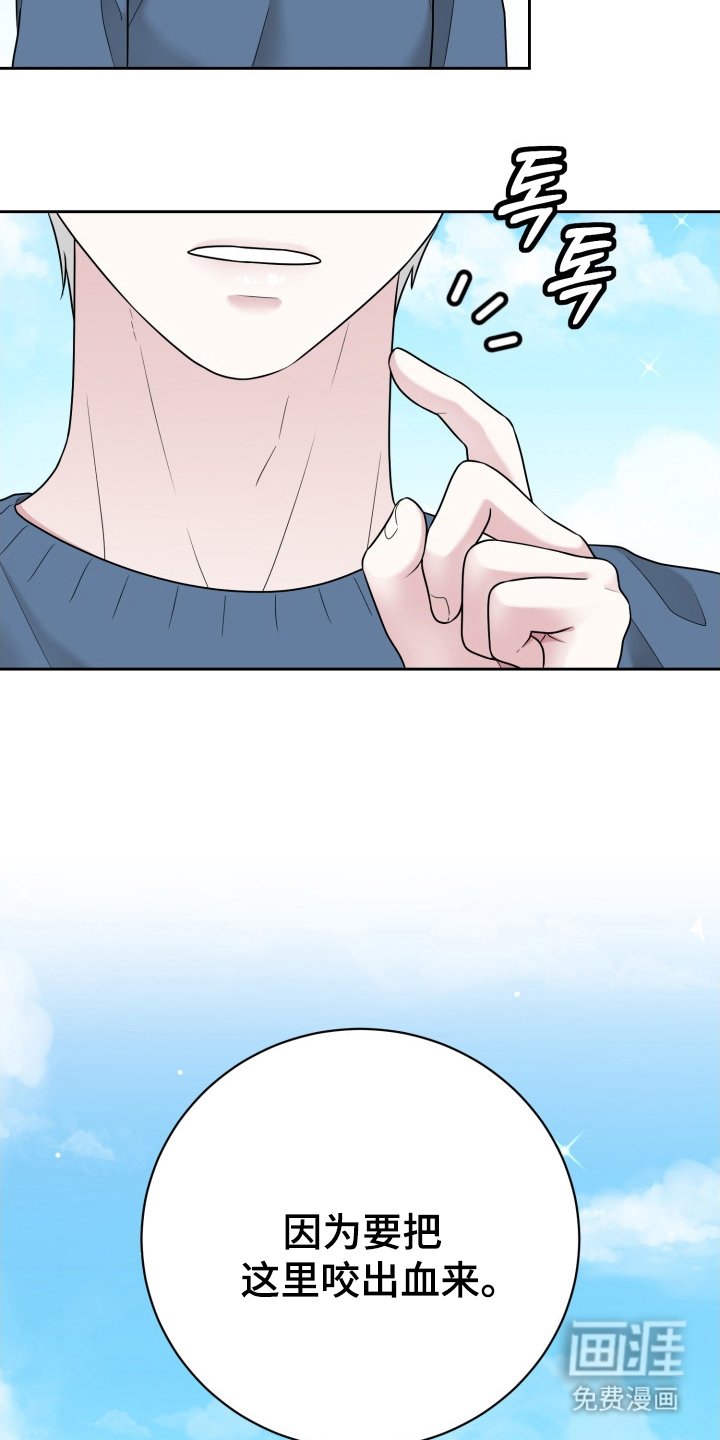 第14章：伴侣