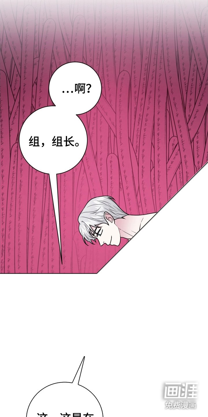 第16章：我爱你（完结）
