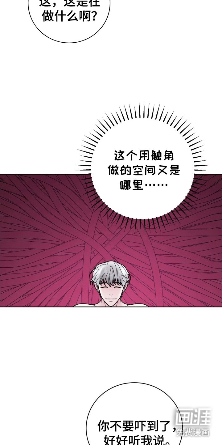 第16章：我爱你（完结）