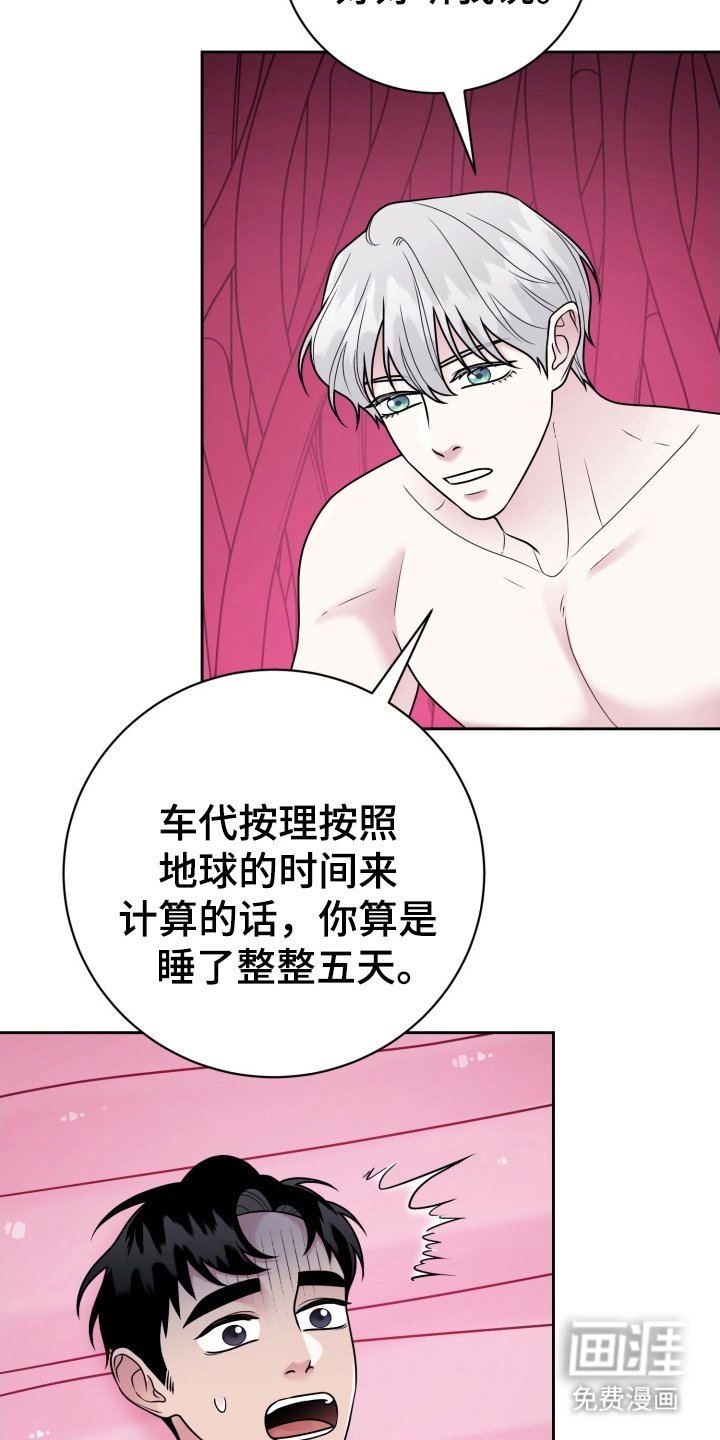 第16章：我爱你（完结）