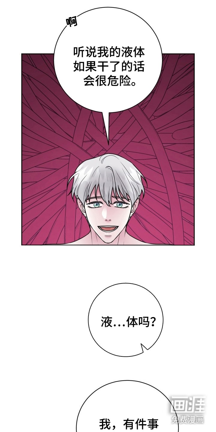 第16章：我爱你（完结）
