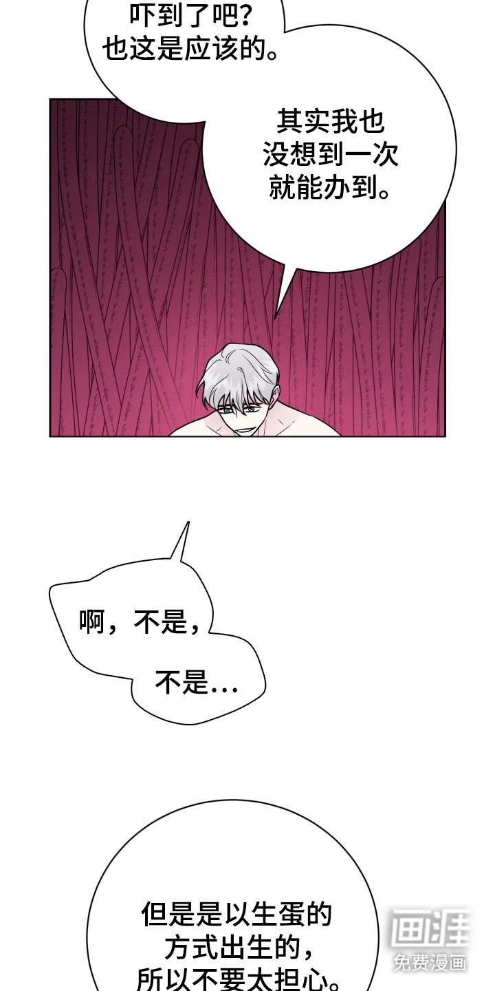 第16章：我爱你（完结）