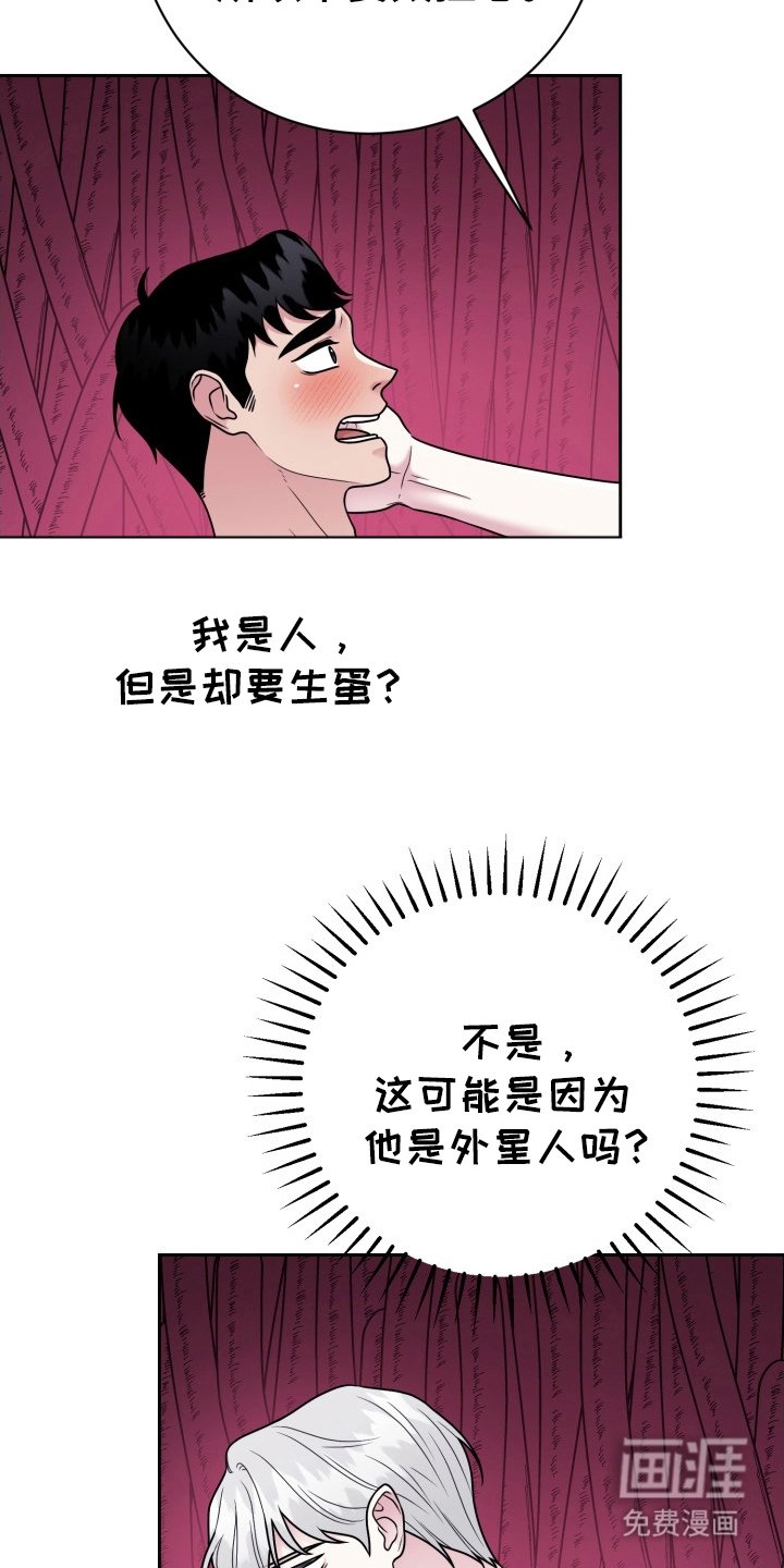 第16章：我爱你（完结）