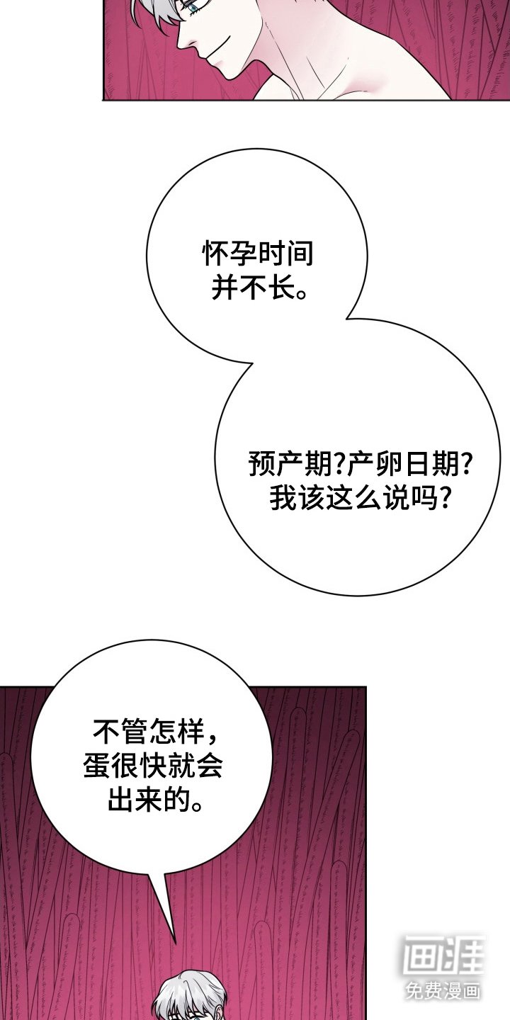 第16章：我爱你（完结）
