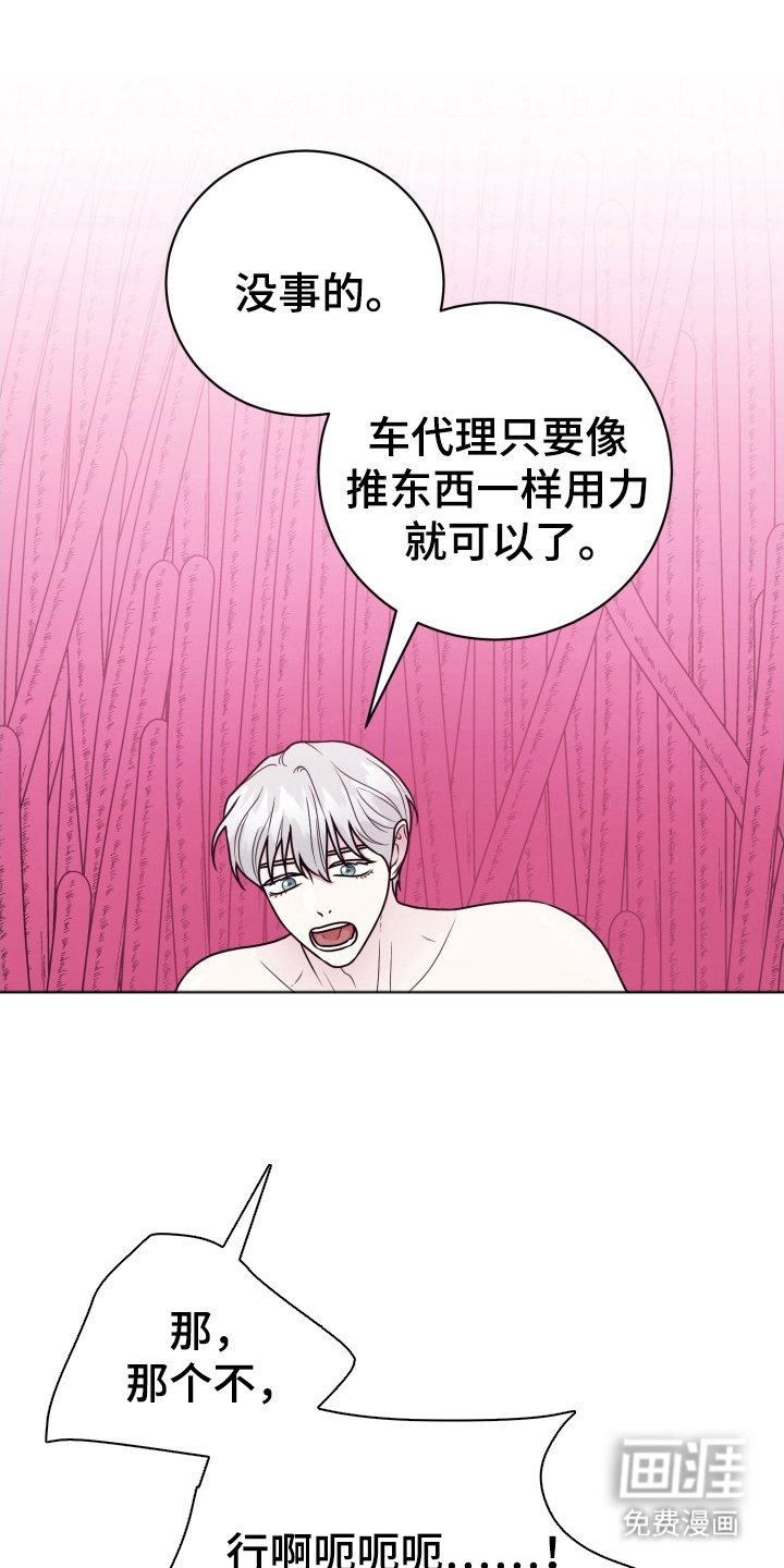 第16章：我爱你（完结）