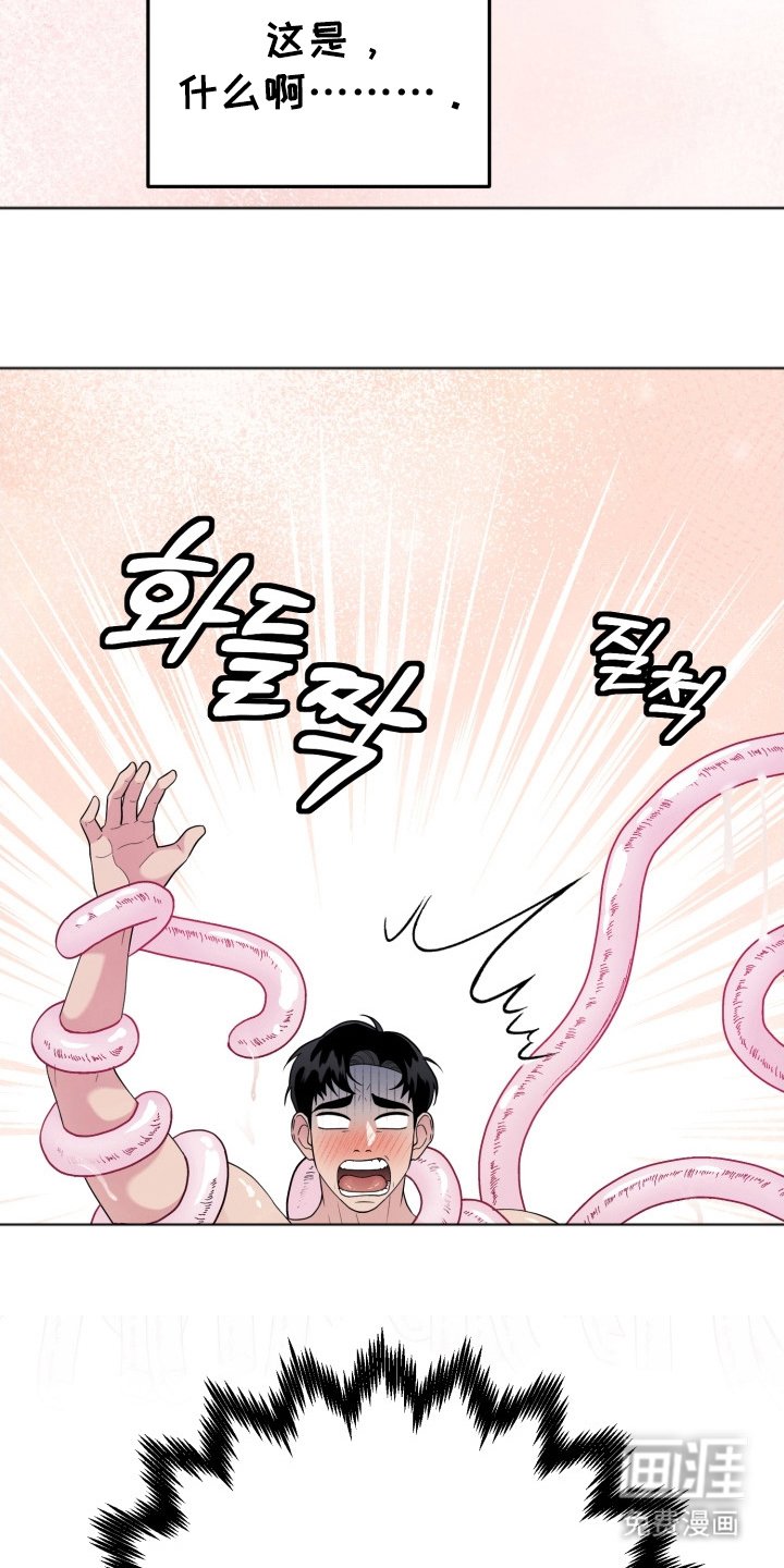 第5章：特殊情况