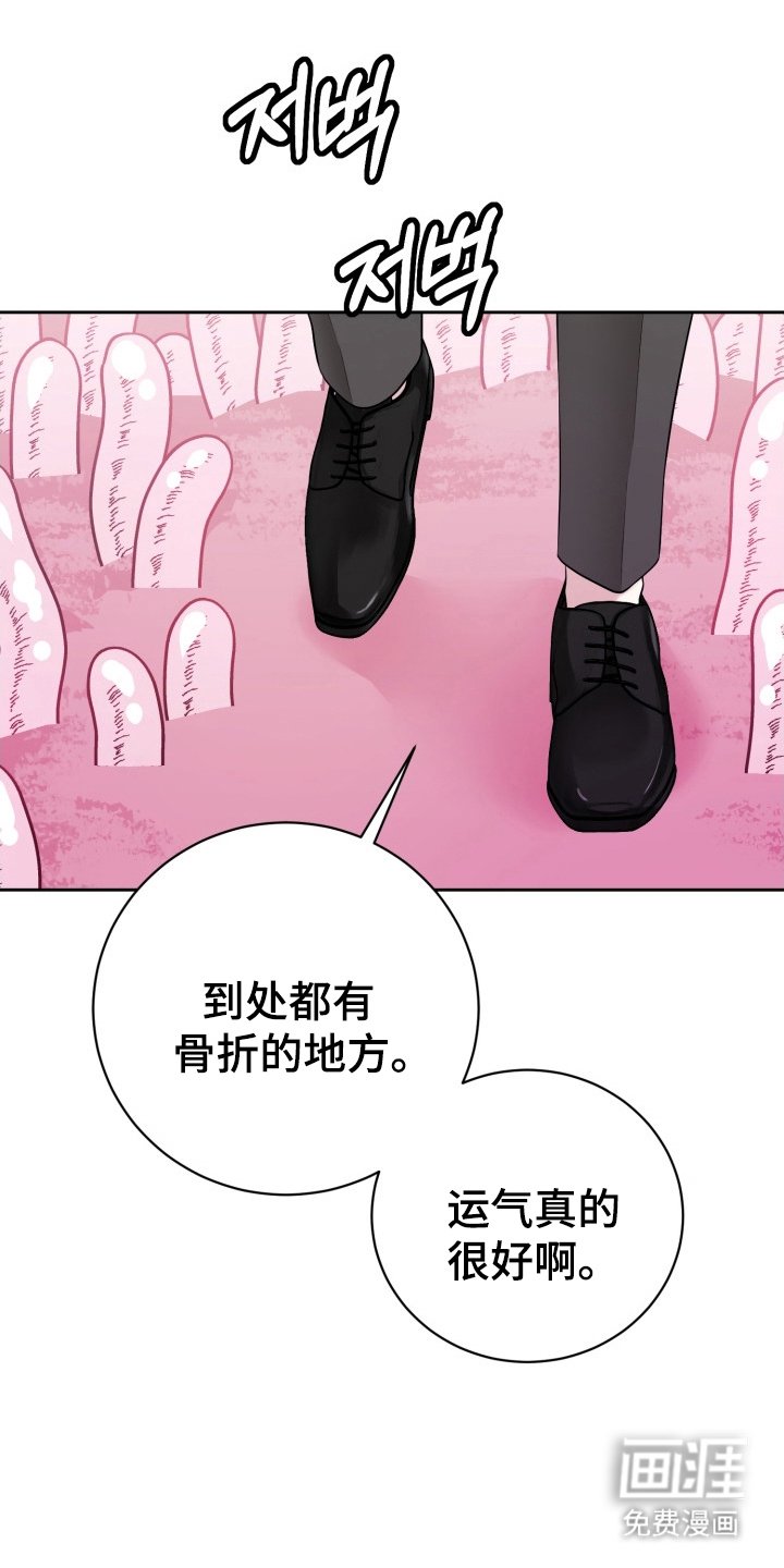 第6章：迷人的面孔