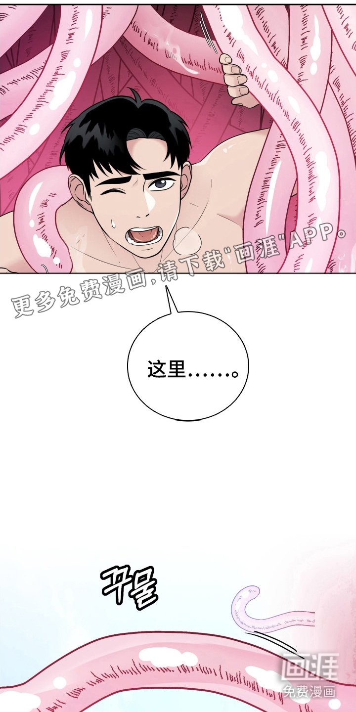 第6章：迷人的面孔