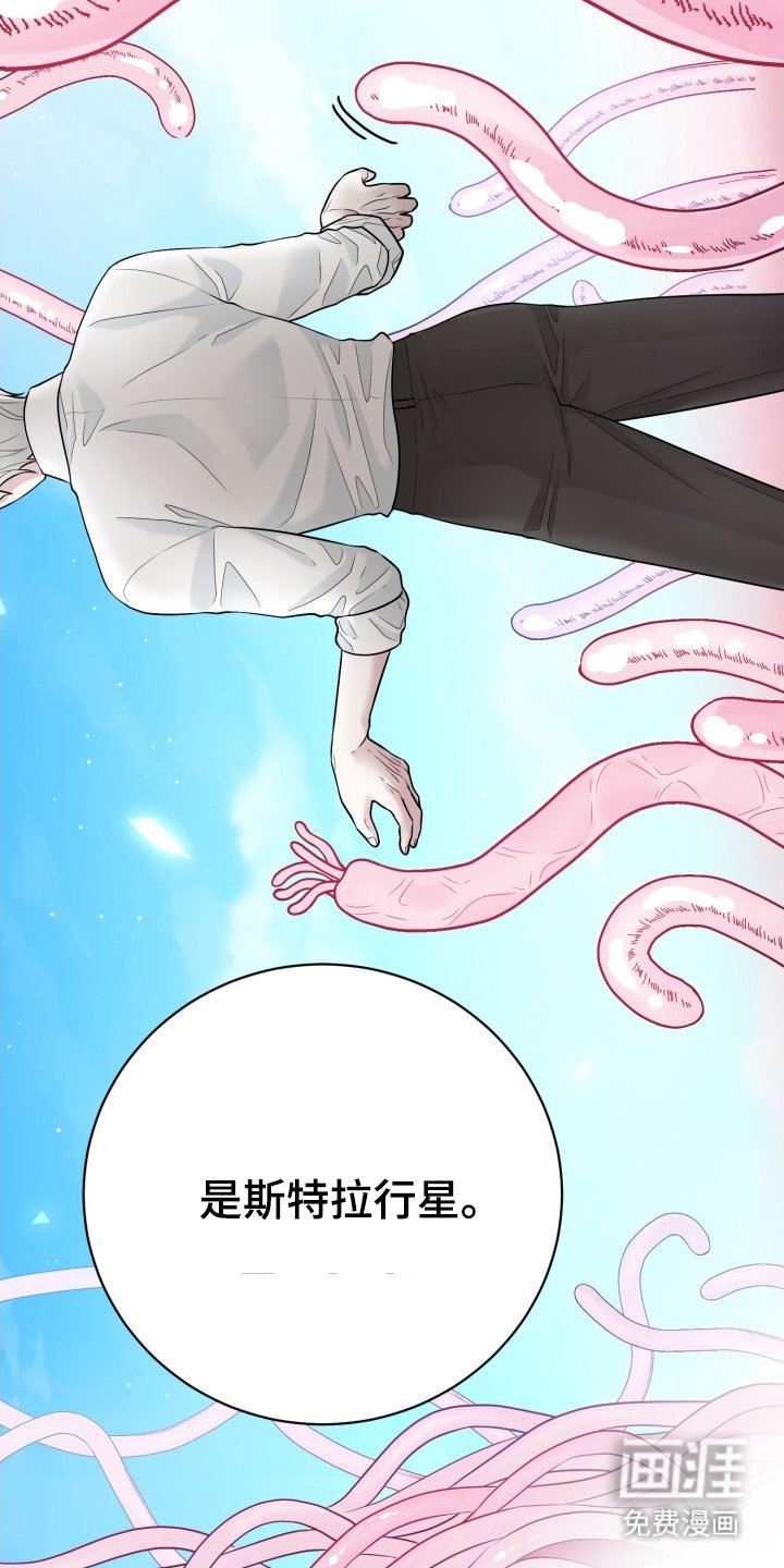 第6章：迷人的面孔