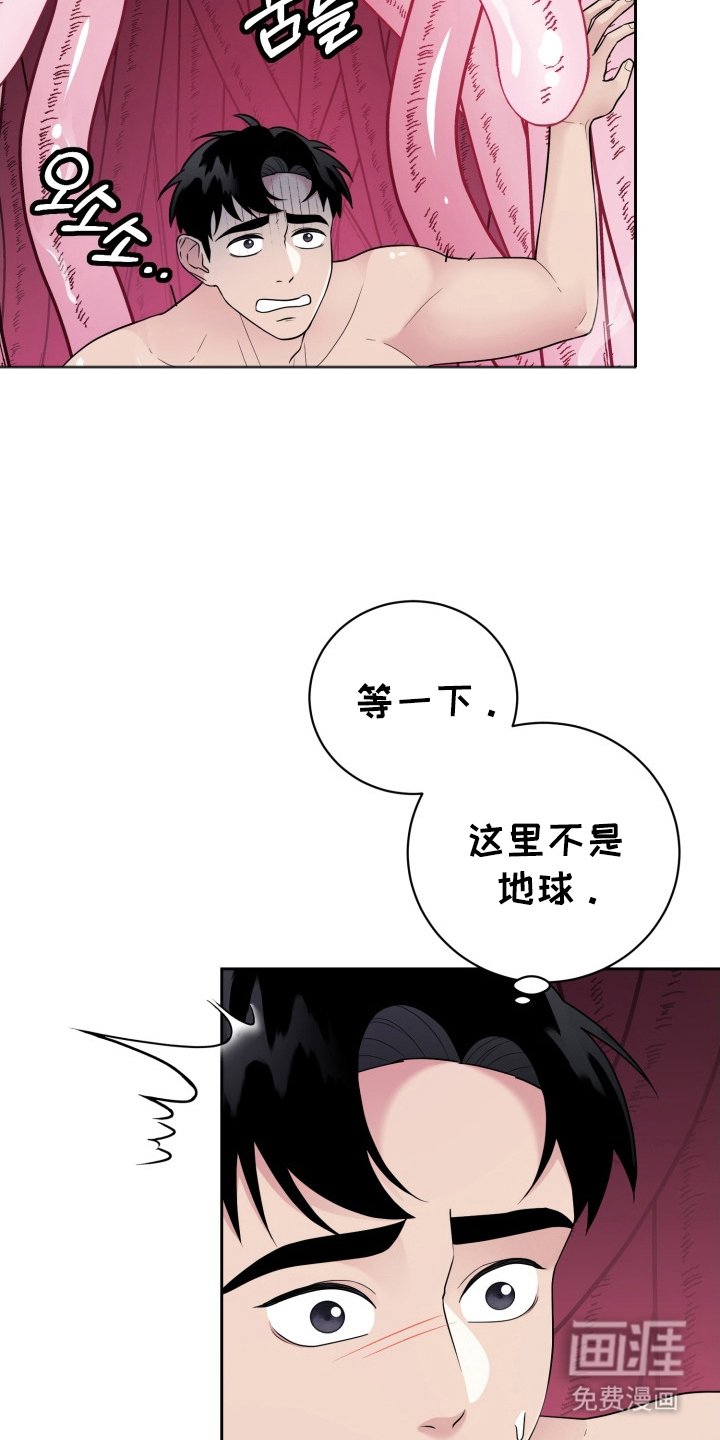 第6章：迷人的面孔