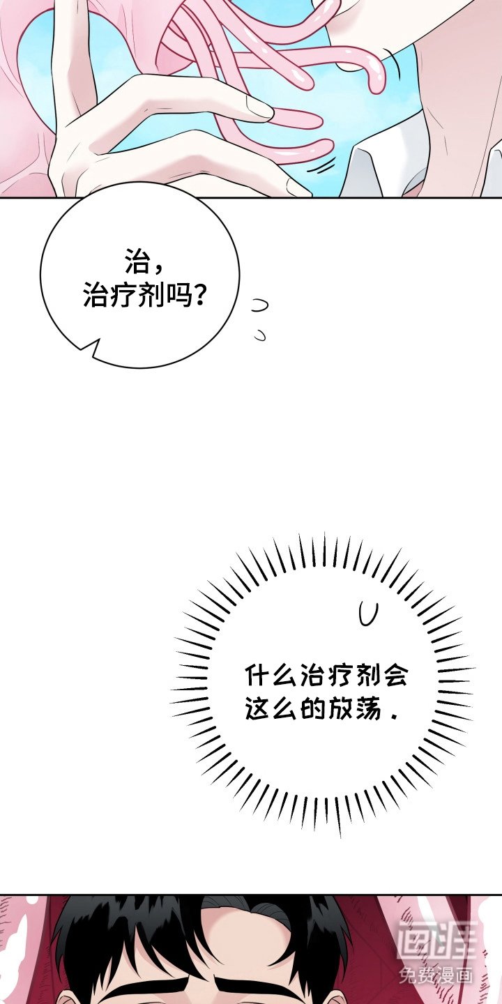 第6章：迷人的面孔
