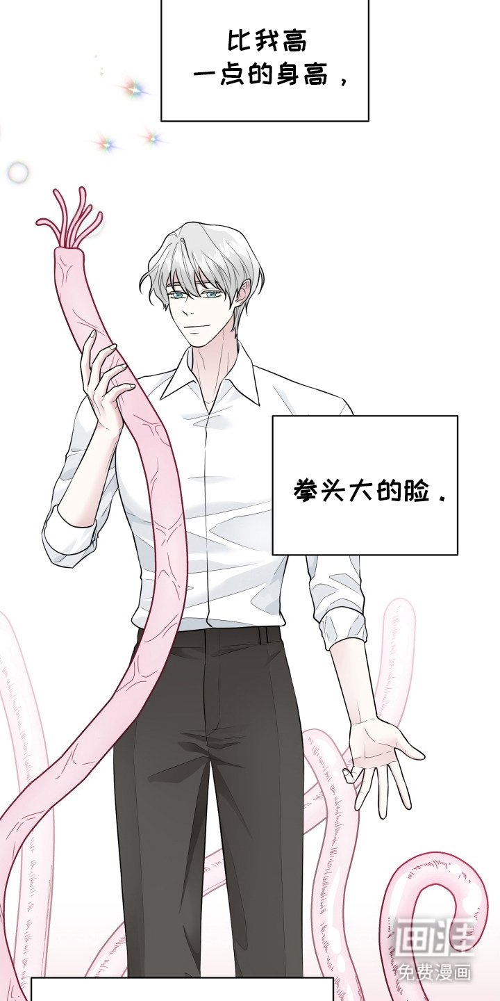 第6章：迷人的面孔