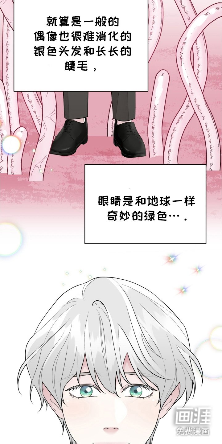 第6章：迷人的面孔