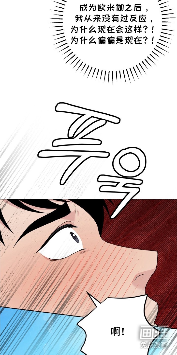 第6章：迷人的面孔