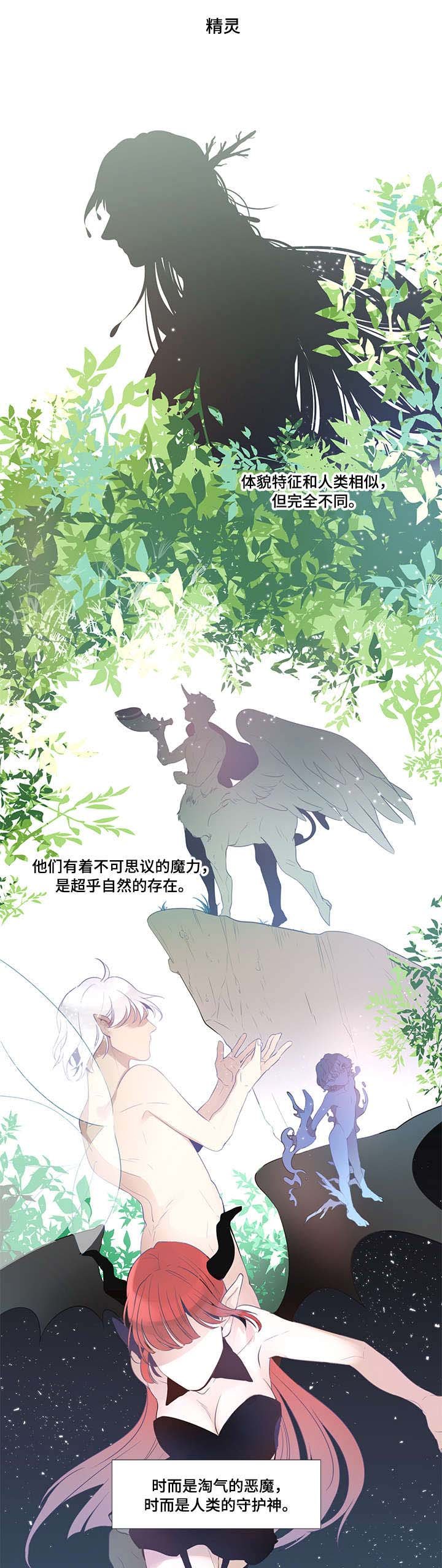 第1章：精灵