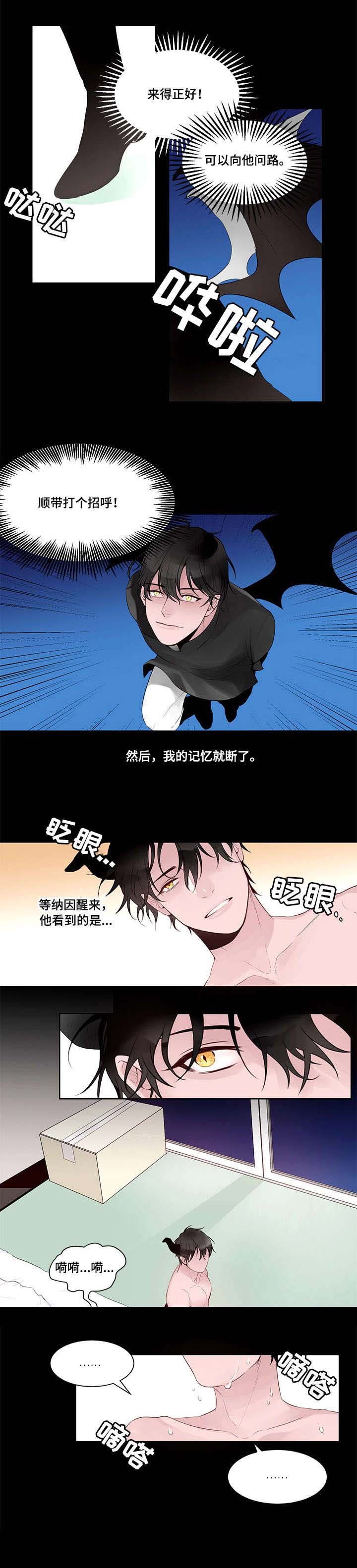 第1章：精灵