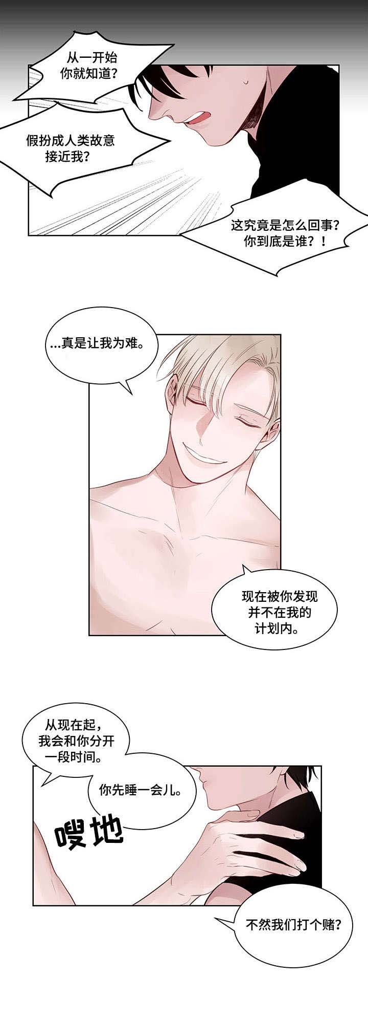第8章：打赌