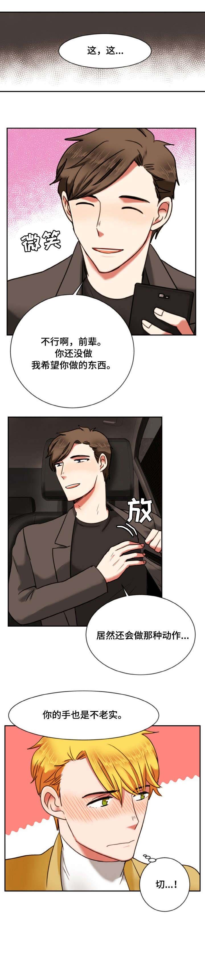 第12章：弱点