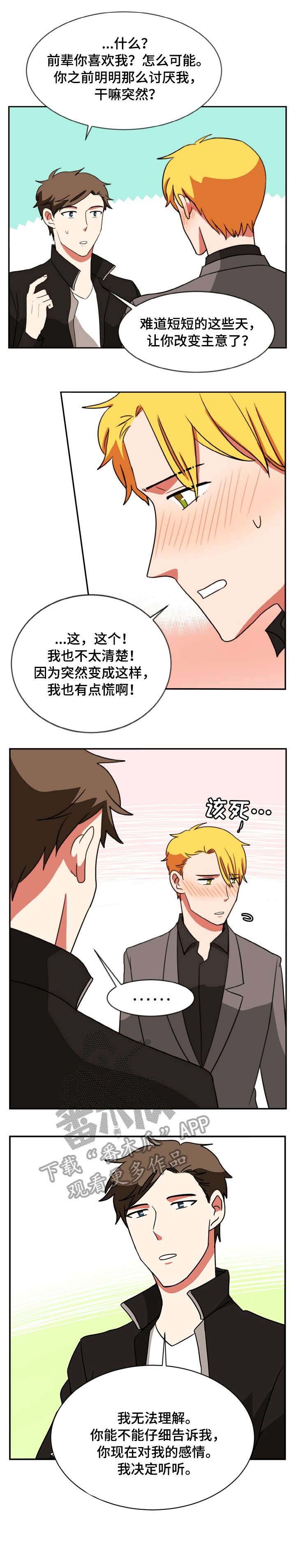 第50章：依你