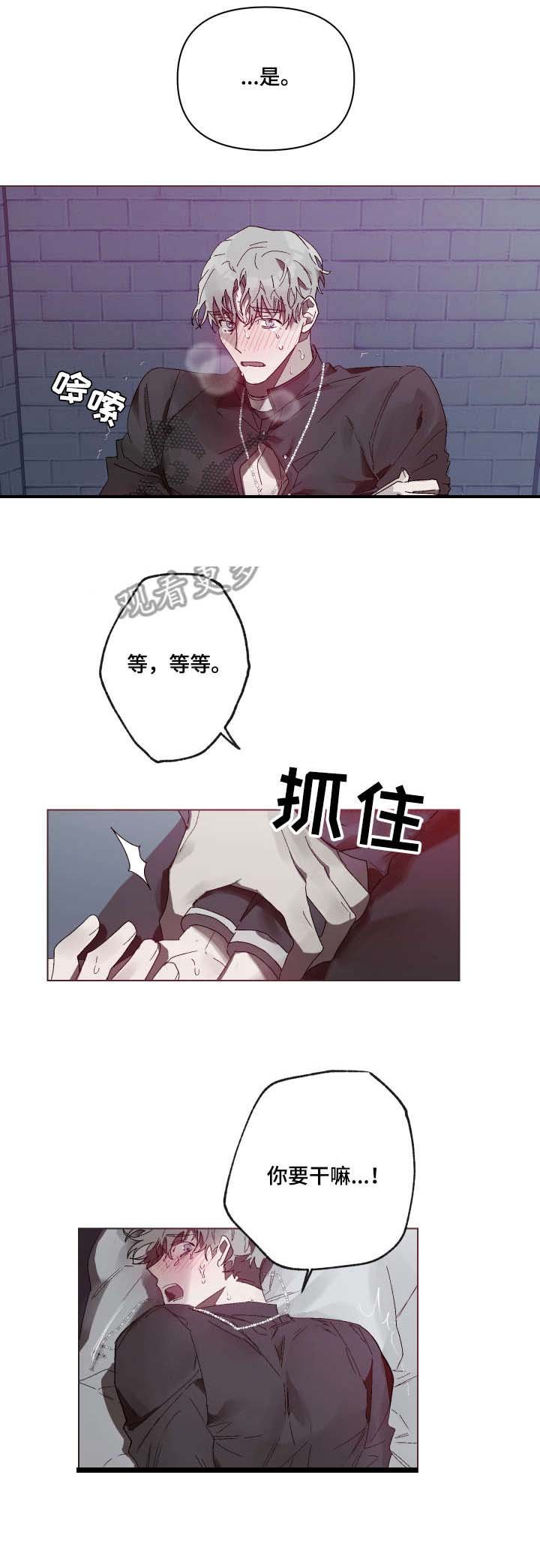第6章：上帝的旨意
