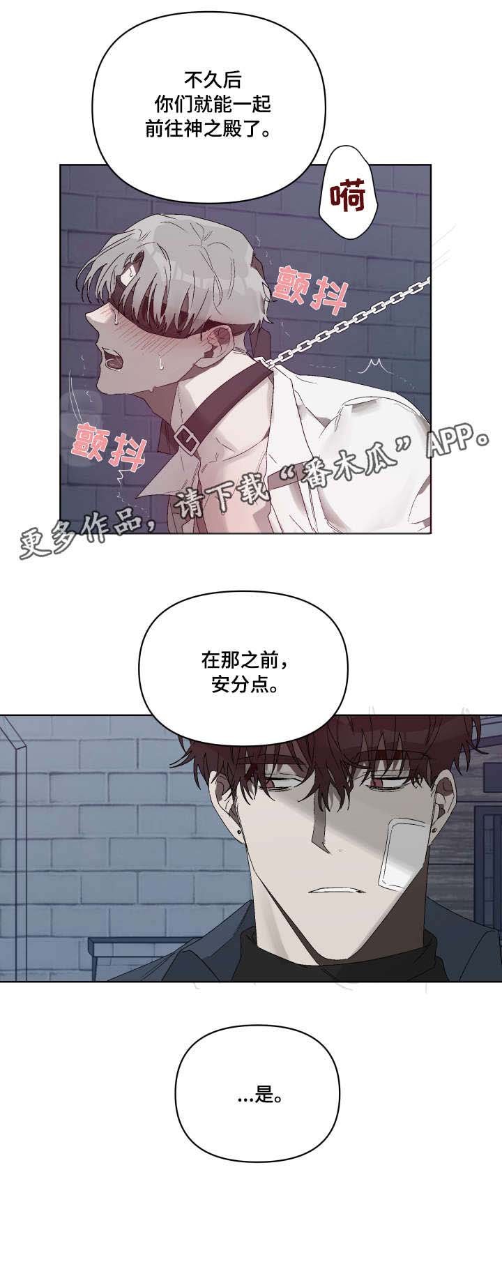 第9章：机会