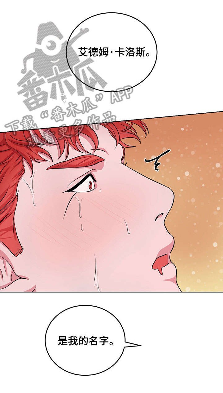 第13章：不会让你一个人（完结）