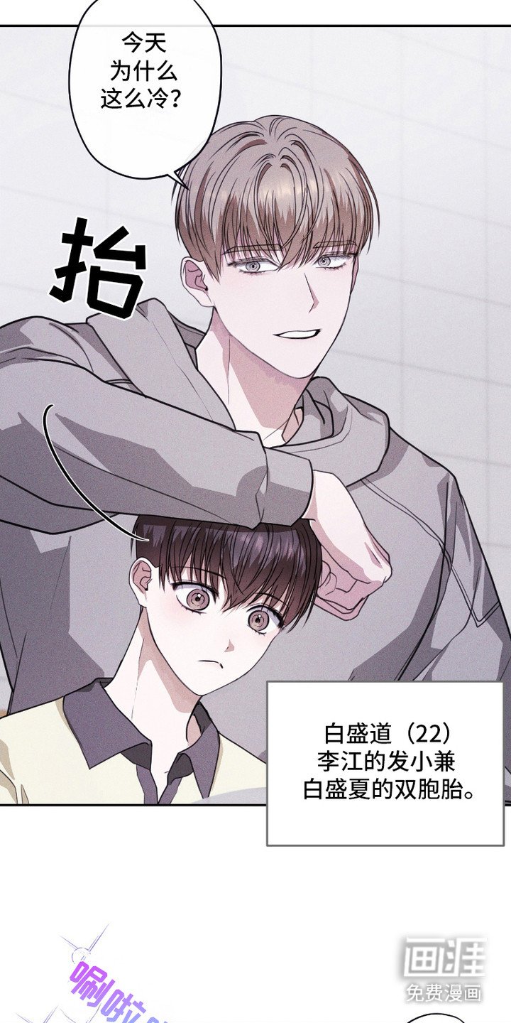 第3章：双胞胎