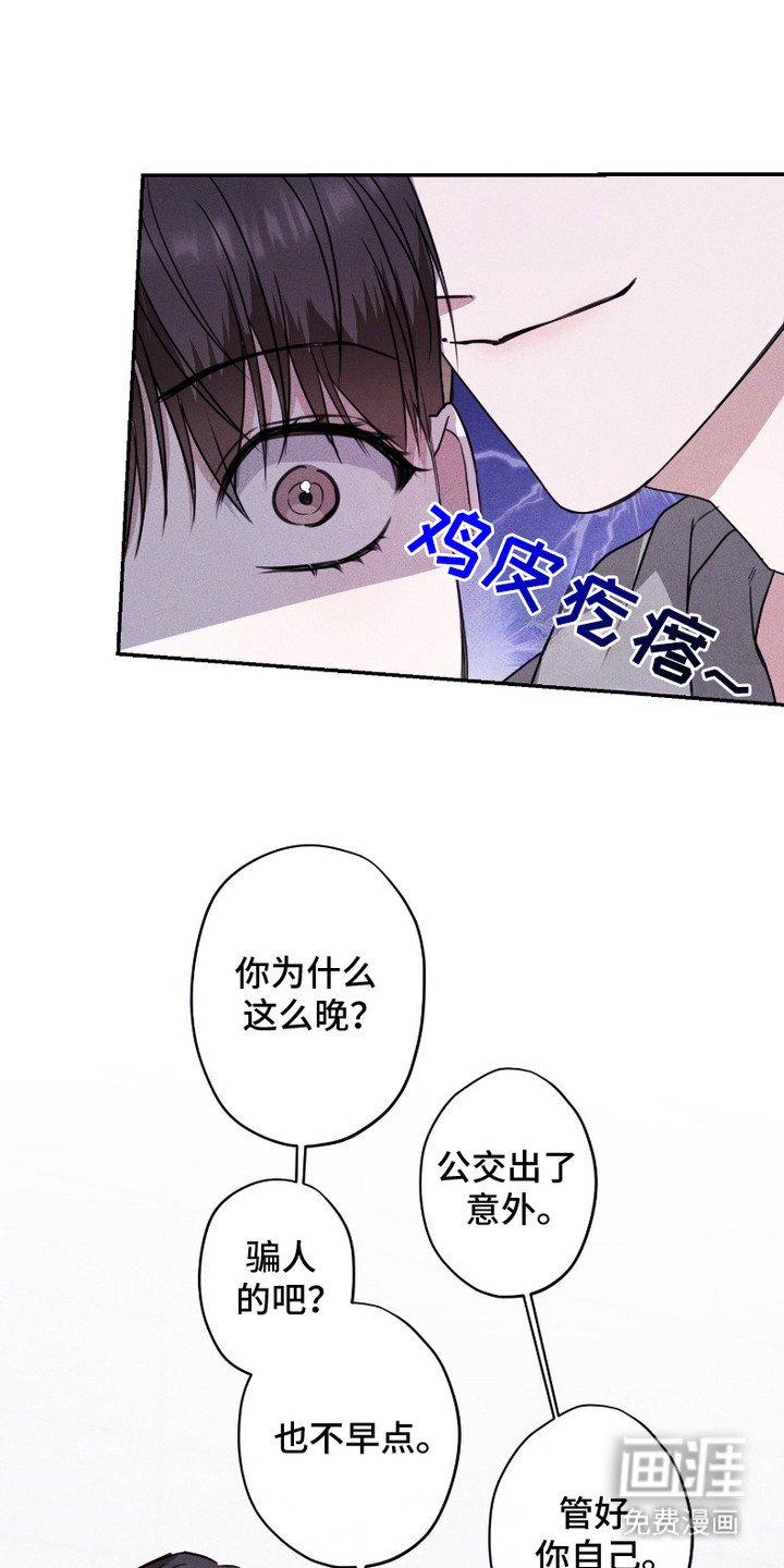 第3章：双胞胎