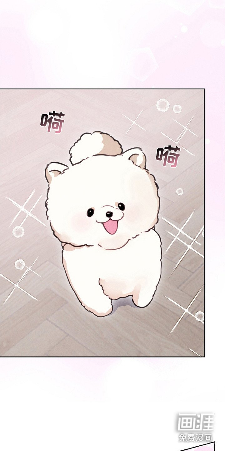 第4章：害羞