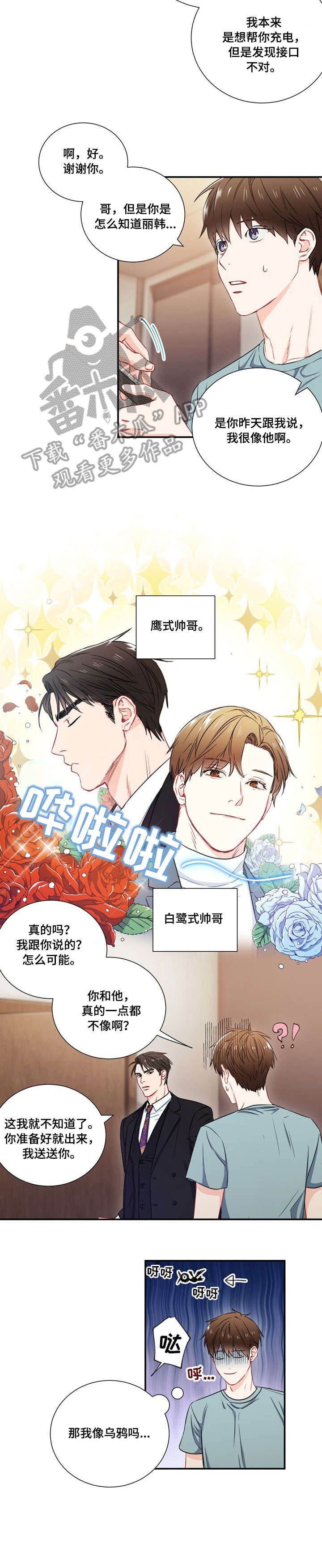 第11章：像