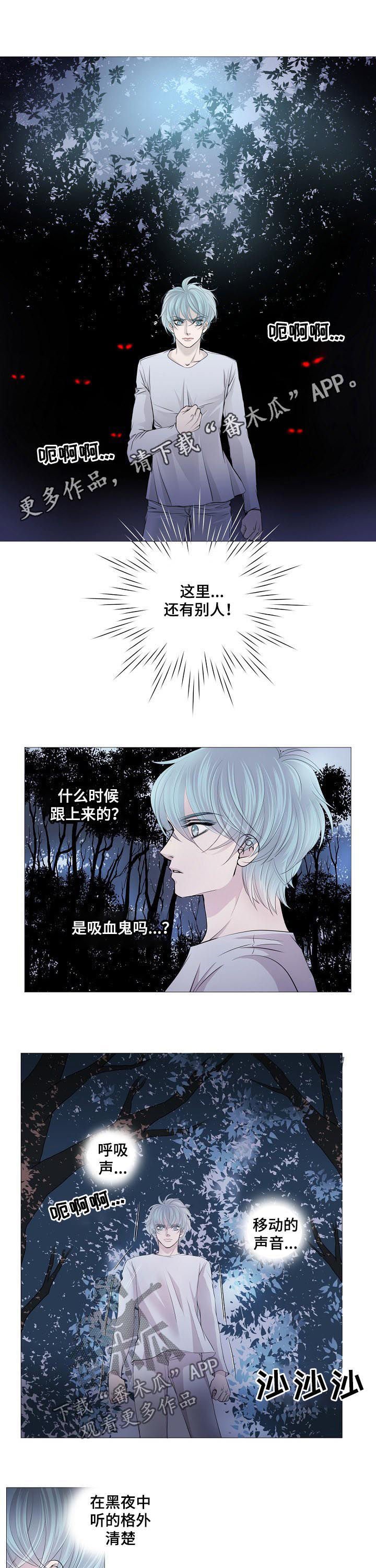 第107章：什么声音