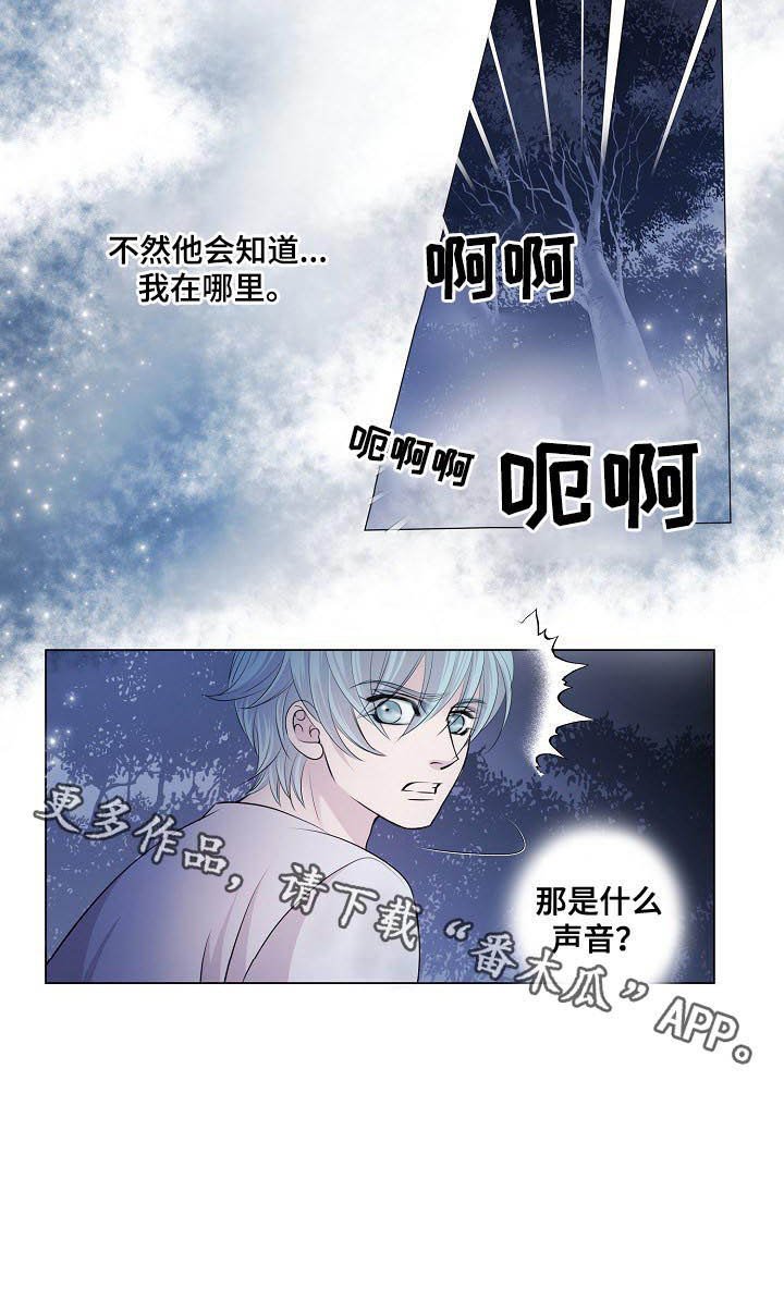 第107章：什么声音