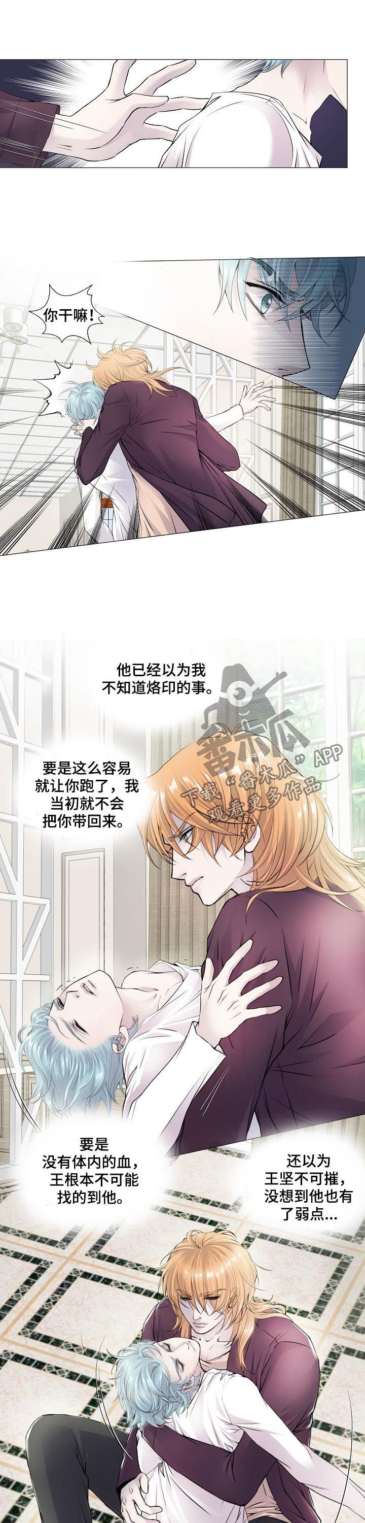 第112章：混血