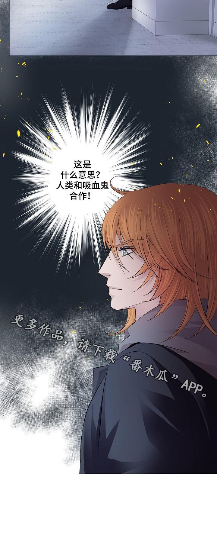第132章：合作