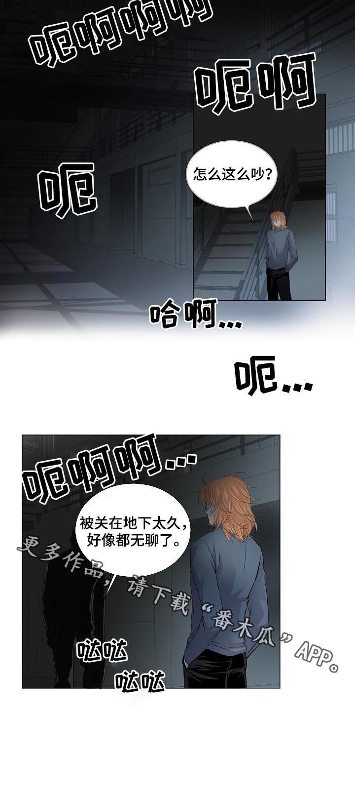 第142章：喊叫声