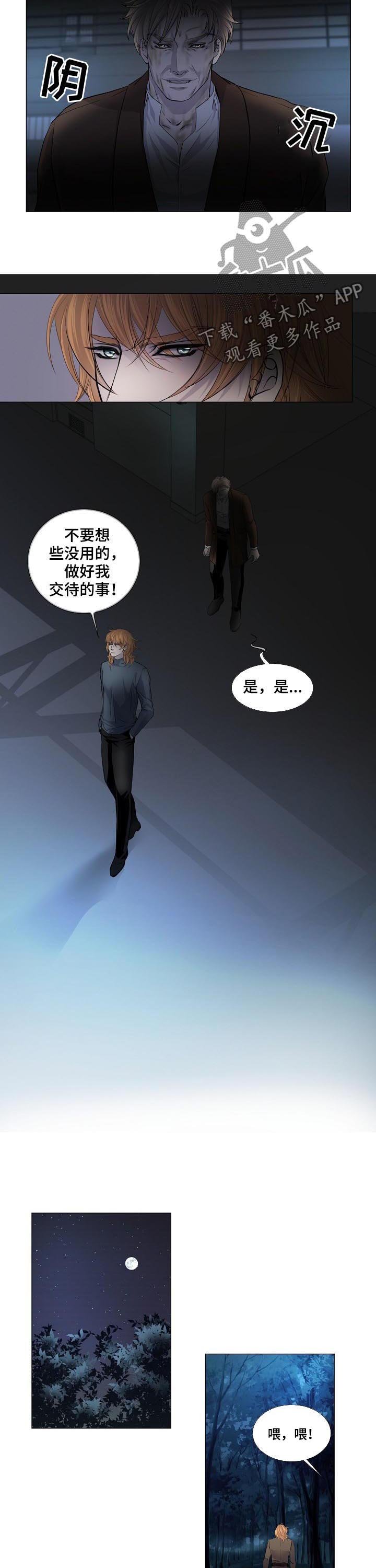 第143章：密谋