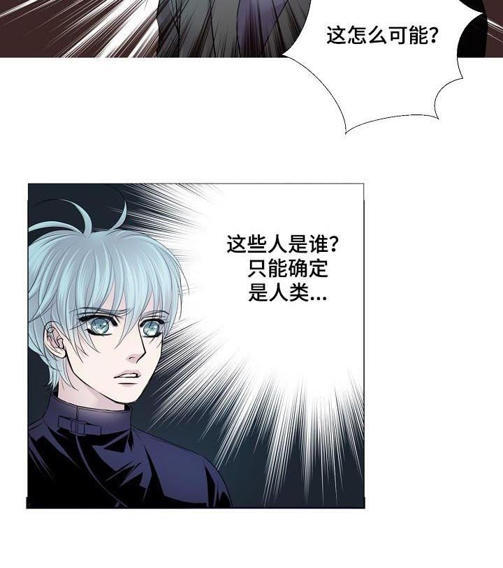 第143章：密谋