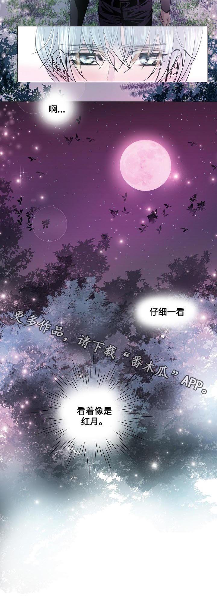 第143章：密谋