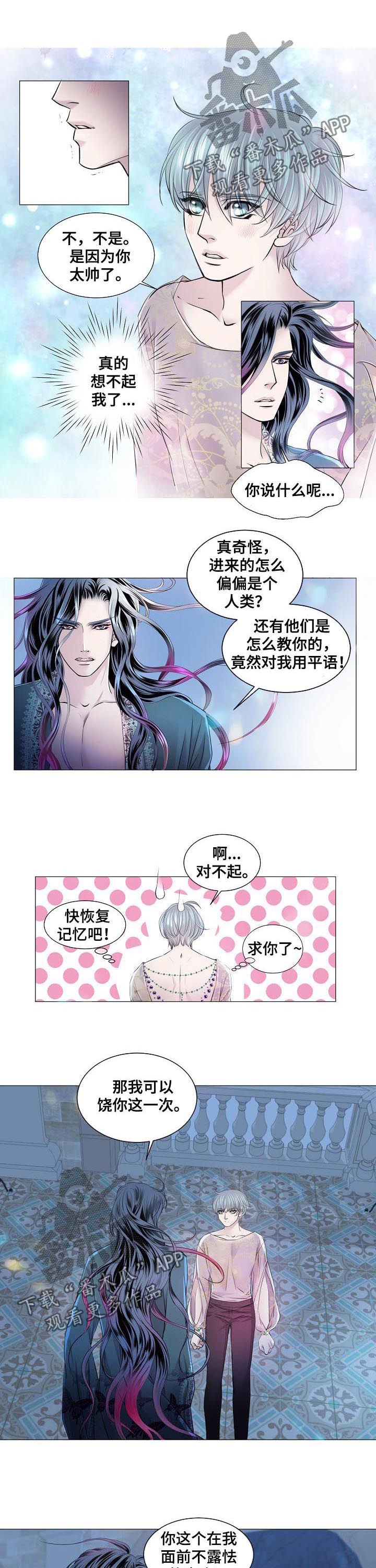 第152章：失去记忆