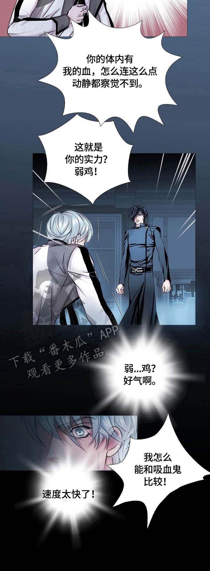 第16章：速度