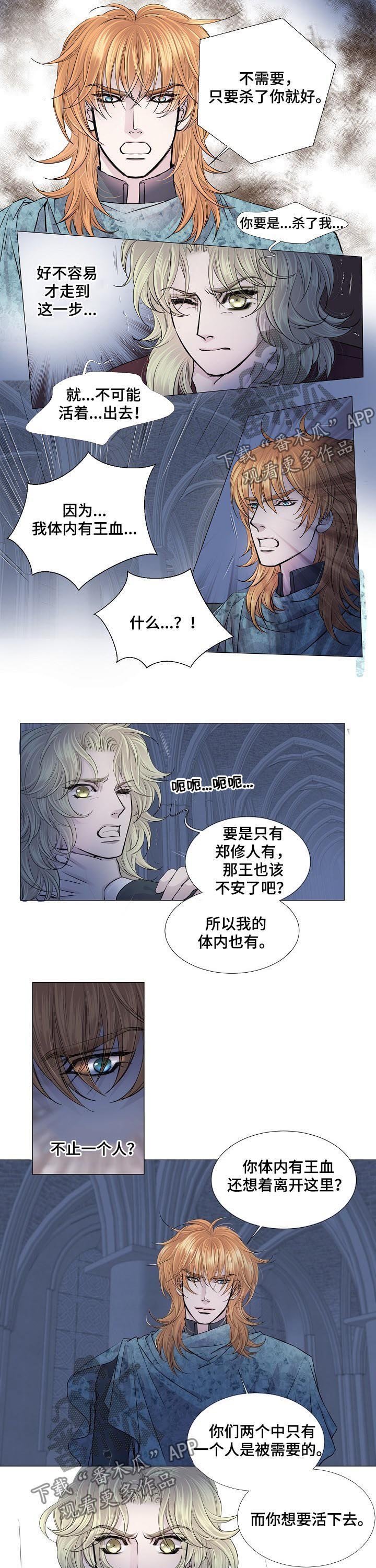 第164章：帮你逃出去