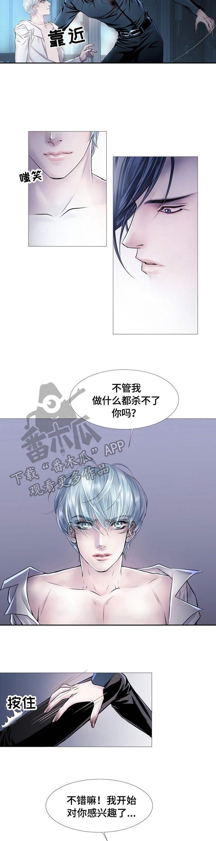 第18章：兴趣