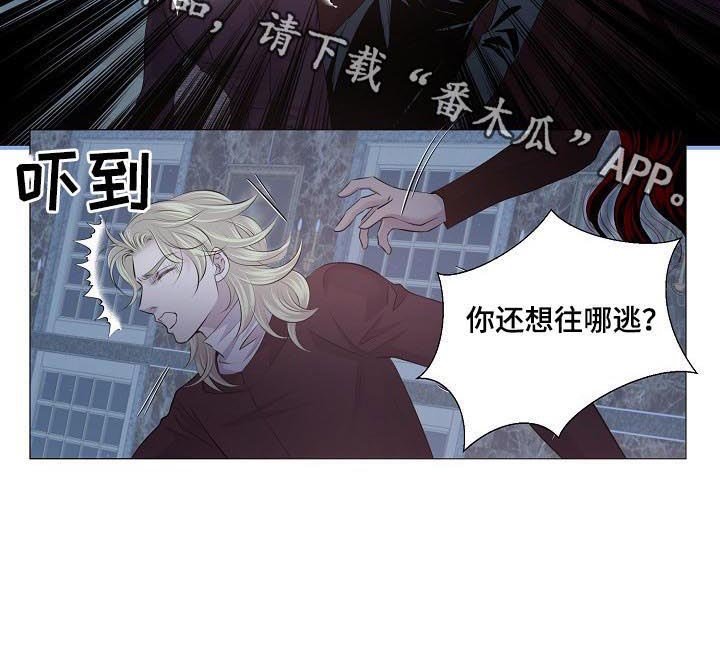 第180章：真相