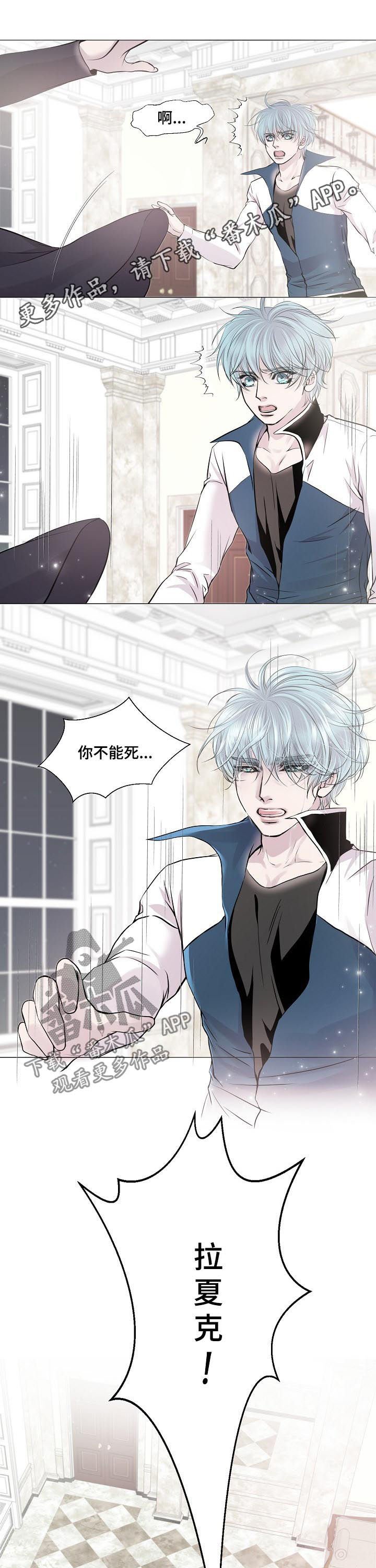 第188章：五十年