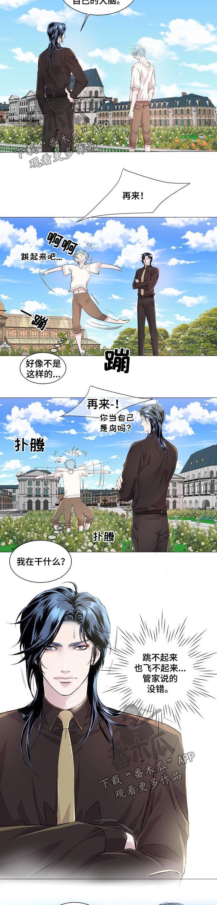 第191章：飞不起来