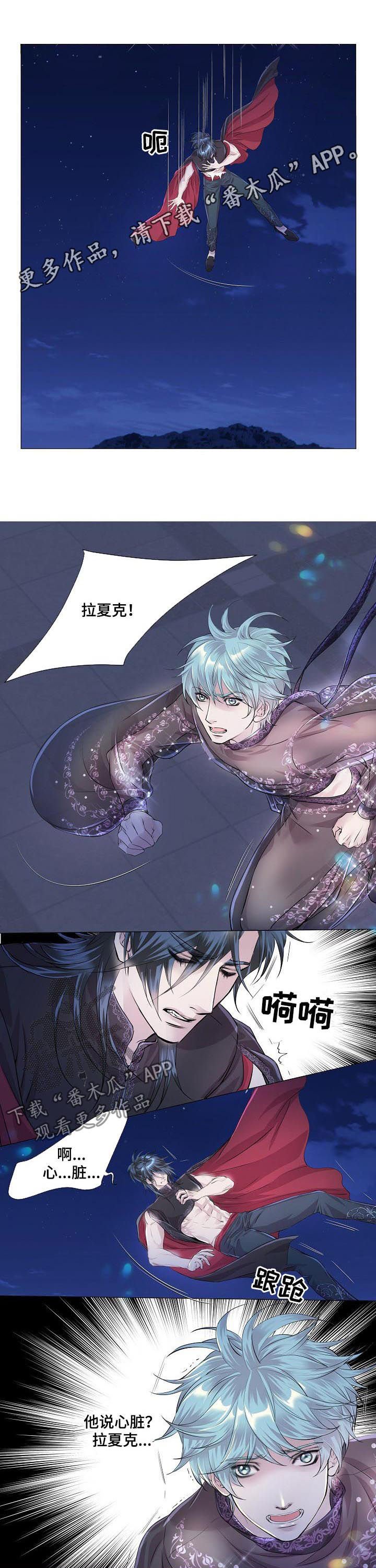 第195章：南极和北极