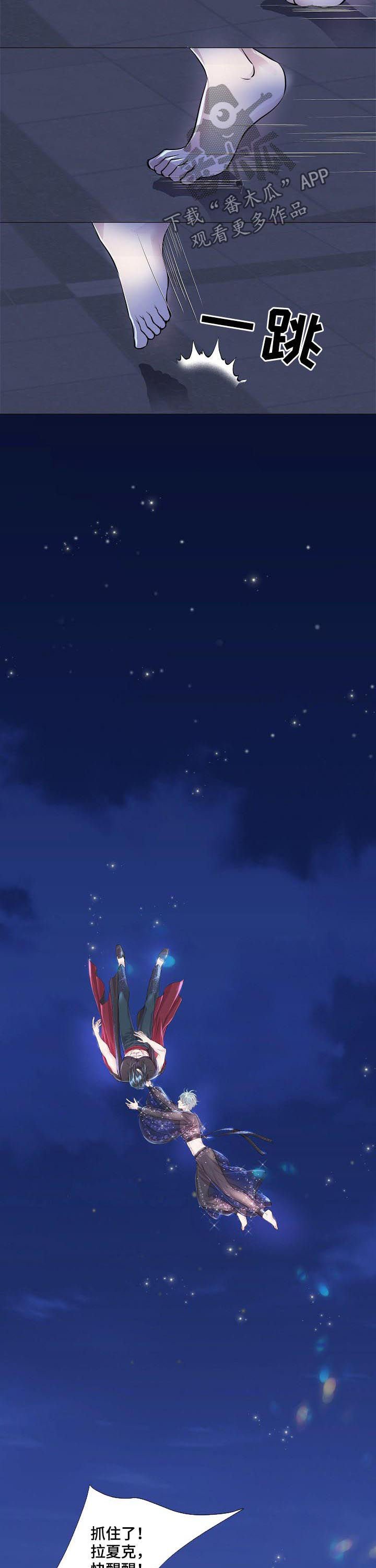 第195章：南极和北极
